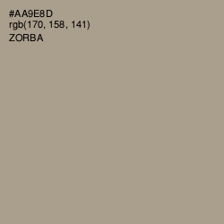 #AA9E8D - Zorba Color Image