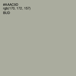 #AAAC9D - Bud Color Image