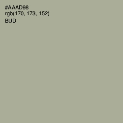 #AAAD98 - Bud Color Image