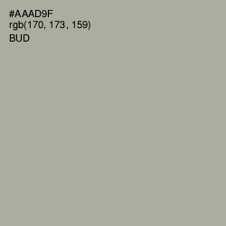 #AAAD9F - Bud Color Image