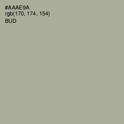 #AAAE9A - Bud Color Image