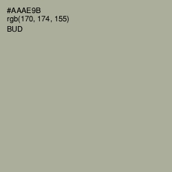 #AAAE9B - Bud Color Image