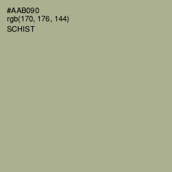 #AAB090 - Schist Color Image