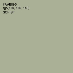 #AAB095 - Schist Color Image