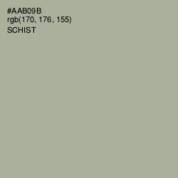 #AAB09B - Schist Color Image