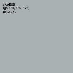 #AAB0B1 - Bombay Color Image