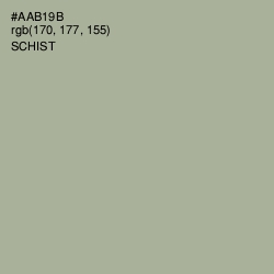 #AAB19B - Schist Color Image