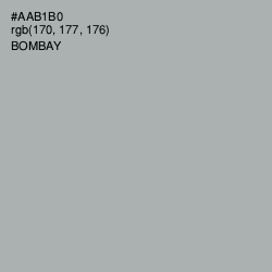 #AAB1B0 - Bombay Color Image