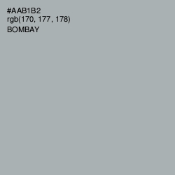 #AAB1B2 - Bombay Color Image