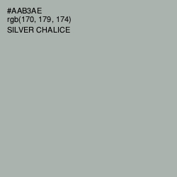 #AAB3AE - Silver Chalice Color Image