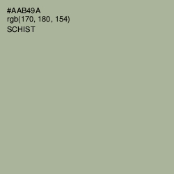 #AAB49A - Schist Color Image