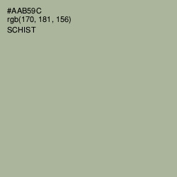 #AAB59C - Schist Color Image