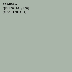 #AAB5AA - Silver Chalice Color Image