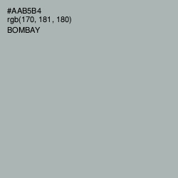 #AAB5B4 - Bombay Color Image