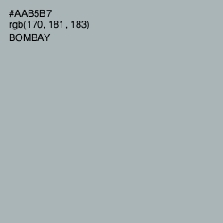 #AAB5B7 - Bombay Color Image