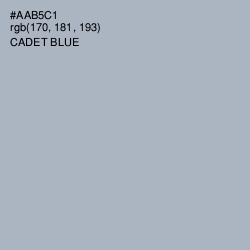 #AAB5C1 - Cadet Blue Color Image