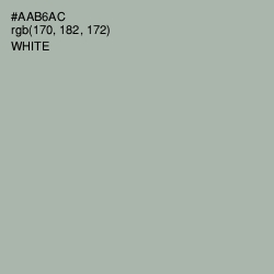 #AAB6AC - Silver Chalice Color Image