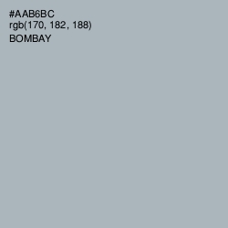 #AAB6BC - Bombay Color Image