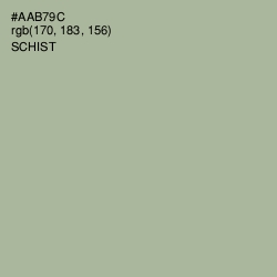 #AAB79C - Schist Color Image