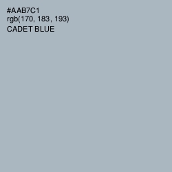 #AAB7C1 - Cadet Blue Color Image