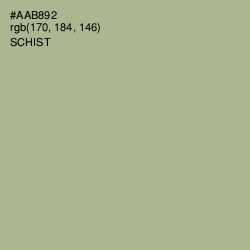 #AAB892 - Schist Color Image