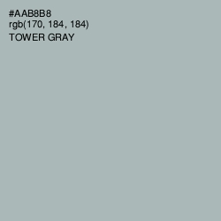 #AAB8B8 - Tower Gray Color Image