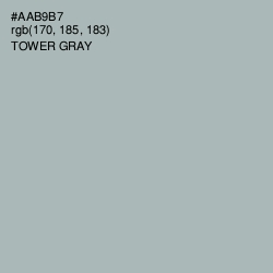 #AAB9B7 - Tower Gray Color Image