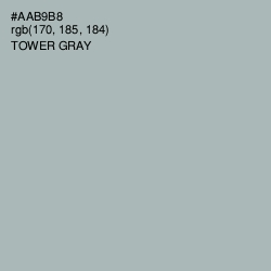 #AAB9B8 - Tower Gray Color Image