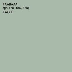 #AABAAA - Eagle Color Image