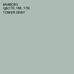 #AABCB3 - Tower Gray Color Image