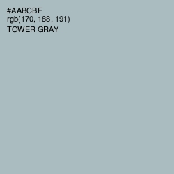 #AABCBF - Tower Gray Color Image