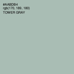 #AABDB4 - Tower Gray Color Image