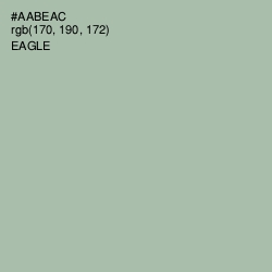 #AABEAC - Eagle Color Image