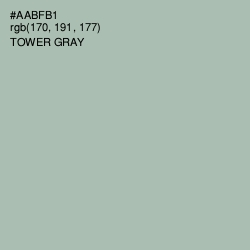 #AABFB1 - Tower Gray Color Image