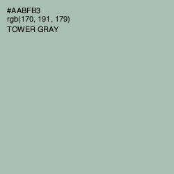 #AABFB3 - Tower Gray Color Image
