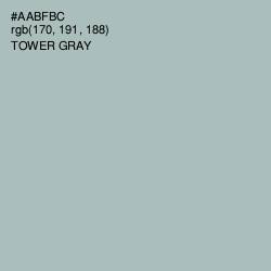 #AABFBC - Tower Gray Color Image