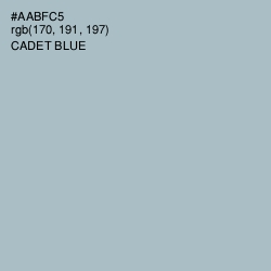 #AABFC5 - Cadet Blue Color Image