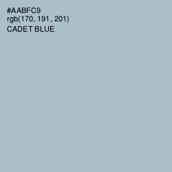 #AABFC9 - Cadet Blue Color Image