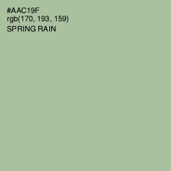 #AAC19F - Spring Rain Color Image