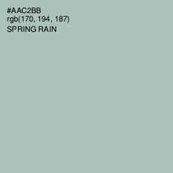 #AAC2BB - Spring Rain Color Image