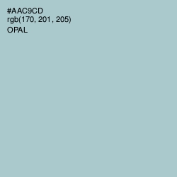 #AAC9CD - Opal Color Image