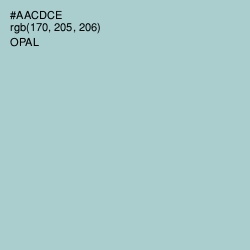 #AACDCE - Opal Color Image