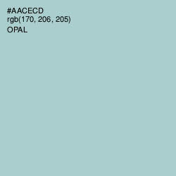 #AACECD - Opal Color Image