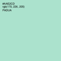 #AAE2CD - Padua Color Image