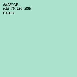 #AAE2CE - Padua Color Image