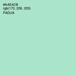 #AAE4CB - Padua Color Image