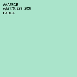 #AAE5CB - Padua Color Image