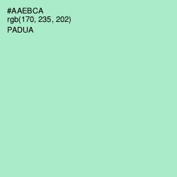 #AAEBCA - Padua Color Image