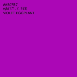 #AB07B7 - Violet Eggplant Color Image