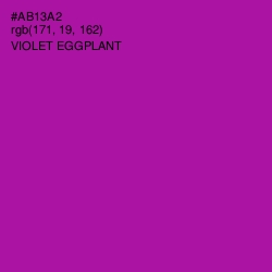 #AB13A2 - Violet Eggplant Color Image